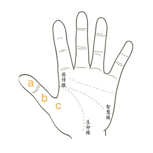 易通问 东方智慧文化资讯平台